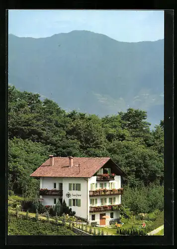 AK Saltaus, Blick zum Haus Pixner