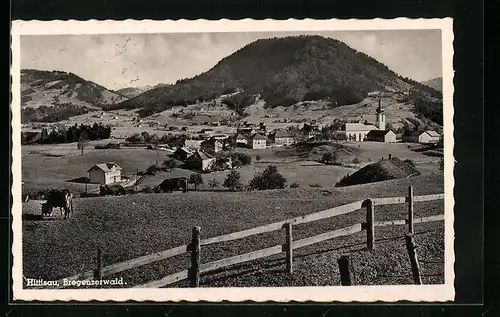 AK Hittisau /Breg. Wald, Totalansicht aus weiter Ferne