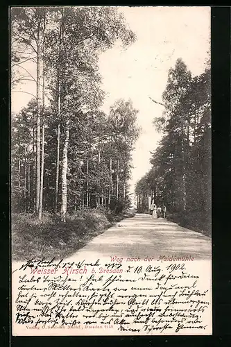 AK Dresden-Weisser Hirsch, Weg nach der Heidemühle