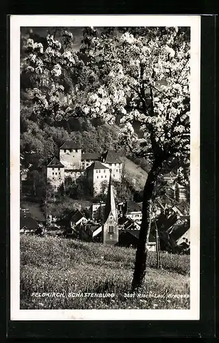 AK Feldkirch, Schattenburg im Frühling