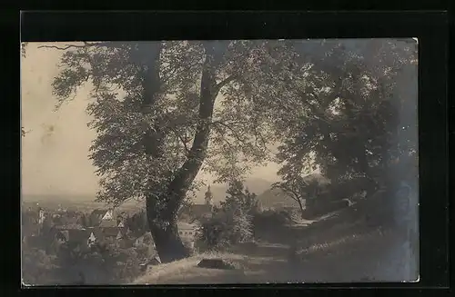 AK Dornbirn, Ortsansicht, Zanzenberg