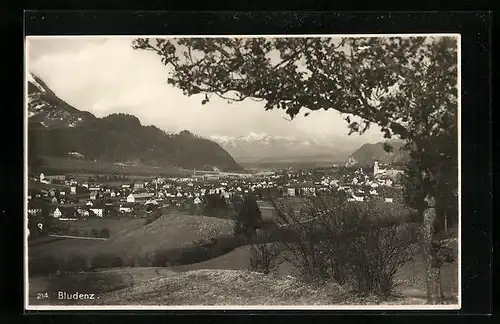 AK Bludenz, Panoramablick auf Ort und Alpen