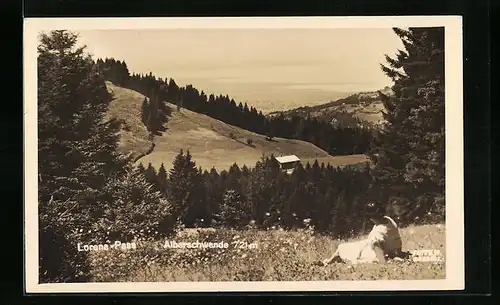 AK Alberschwende, Ausblick vom Lorena-Pass über den Bodensee