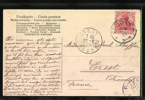 AK Hochfeld i. Els., Hof Morel mit weidenen Kühen