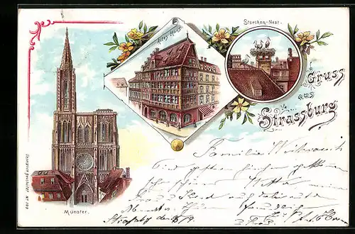 Lithographie Strassburg i. E., Münster, Altes Haus und Storchennest