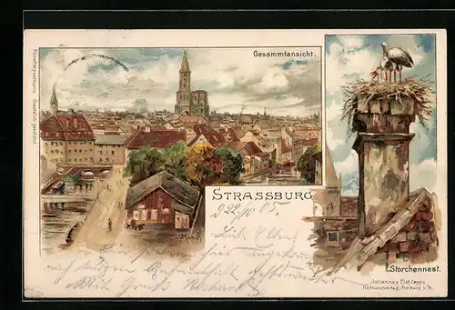 Lithographie Strassburg, Gesamtansicht der Stadt, Storchennest
