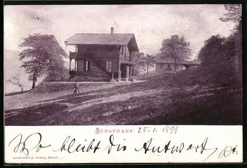 AK Markirch, Schafhaus mit Wiese