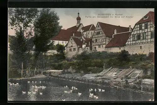 AK Wimpfen a. Neckar, Partie am Gänseteich mit Blick auf Kloster