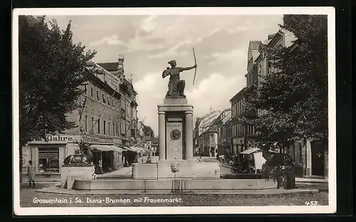 AK Grossenhain i. Sa., Diana-Brunnen mit Frauenmarkt