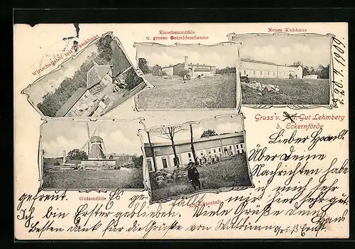 AK Eckernförde, Gut Lehmberg mit Kuhhaus und Gutsmühle