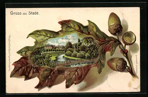 Passepartout-Lithographie Stade, Insel und Neubourgstrasse, Eichenlaub