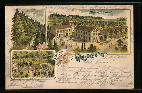 Lithographie Weissenborn, Wallrath`s Gasthof aus der Vogelschau