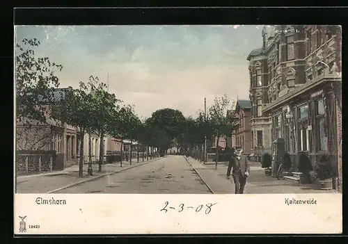 AK Elmshorn, Blick in die Kaltenweide Strasse