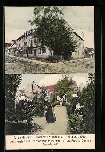 AK Nebra a. Unstrut, Landwirtschaftliche Haushaltungsschule, Arbeit im Garten