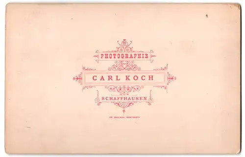 Fotografie Carl Koch, Schaffhausen, Ansicht Schaffhausen, Blick auf den Rheinfall, Wasserfall