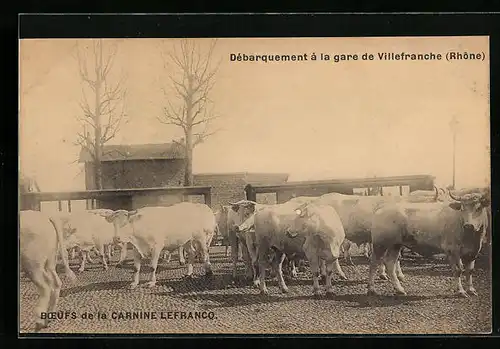 AK Villefranche-sur-Saone, Boeufs de la Carnine Lefrancq, Débarquement à la Gare