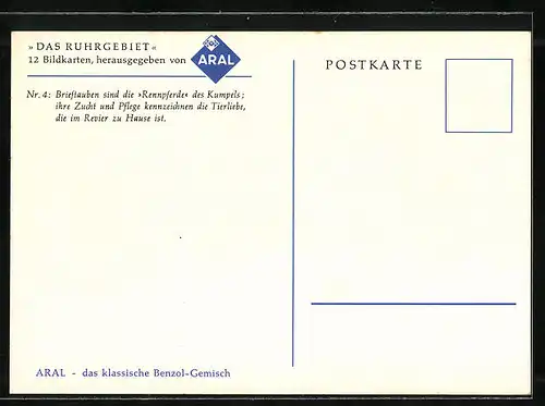 Künstler-AK Das Ruhrgebiet von ARAL, Ortspartie mit Brieftauben in einem Baum