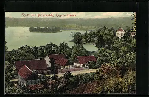 AK Binenwalde /Ruppiner Schweiz, Ortsansicht mit See