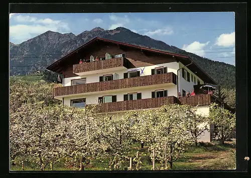 AK Kuens b. Meran, Pension Pircher im Frühling