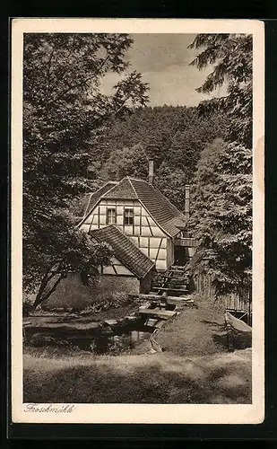 AK Eisenberg i. Thür., Froschmühle im Mühltal