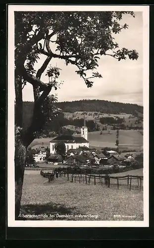 AK Alberschwende bei Dornbirn, Ortsansicht mit Wiesen