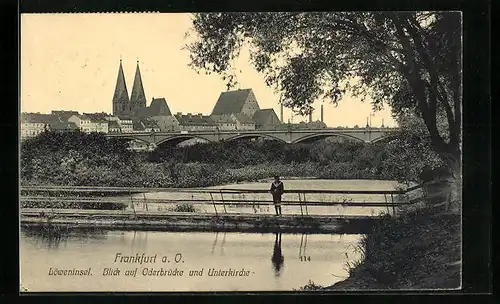 AK Frankfurt a. O., Löweninsel mit Blick auf Oderbrücke und Unterkirche