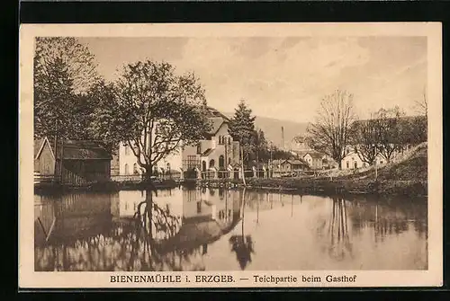 AK Bienenmühle i. Erzgeb., Teichpartie beim Gasthof