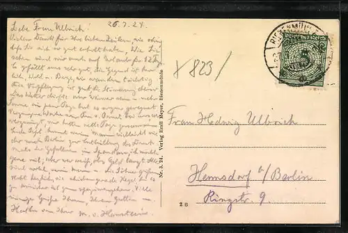 AK Bienenmühle i. Erzgeb., Teichpartie beim Gasthof