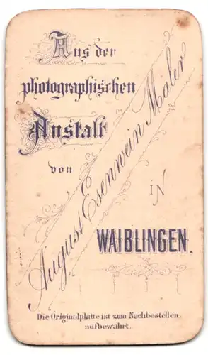 Fotografie August Esenwein, Waiblingen, Herr im dunklen Anzug mit Vollbart