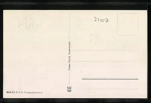 AK Neckarsulm, Marktstrasse mit Geschäften und Rathaus