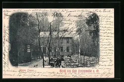 AK Bad Freienwalde a. O., Restaurant Grüne Tanne