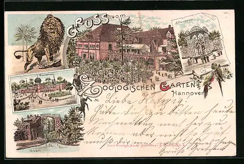 Lithographie Hannover, Zoologischer Garten - Löwe, Kamelhaus, Felsen, Affenhaus und Hauptgebäude