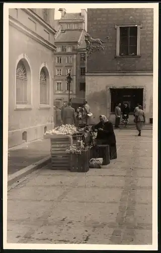 Fotografie Apel, Meissen, Ansicht Meissen, Marktfrau steht an ihrem Stand