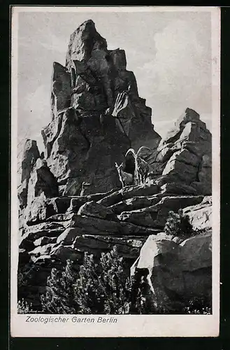 AK Berlin, Grosser Felsen im Zoologischen Garten