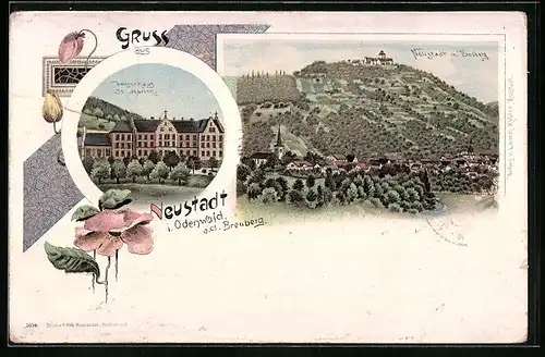 Lithographie Neustadt i. O., Ortsansicht mit Breuberg