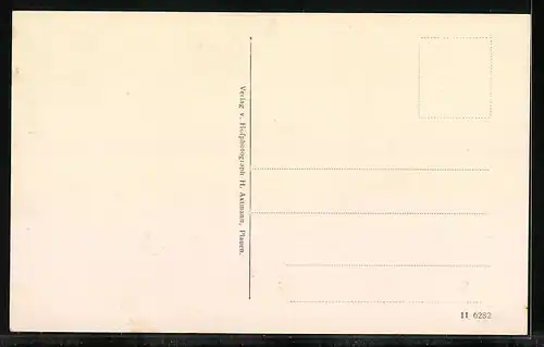 AK Plauen, Friedrich Krausse-Stift mit Strassenpartie