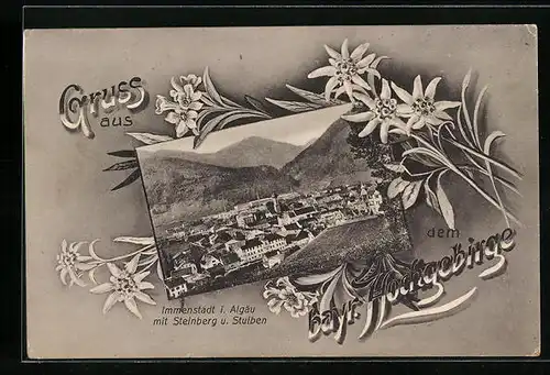 AK Immenstadt i. Allgäu, Ortsansicht mit Steinberg und Stuiben