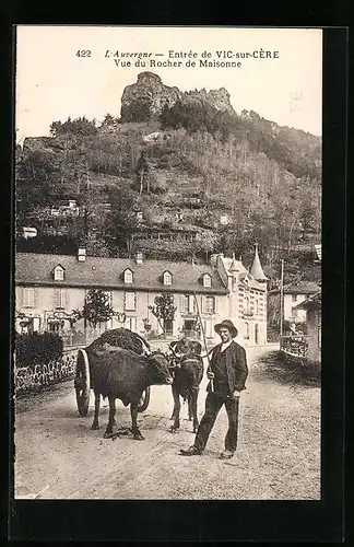 AK Vic-sur-Cère, Vue du Rocher de Maisonne