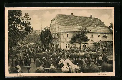 AK Moritzburg, Menschenmassen am Pferdemarkt