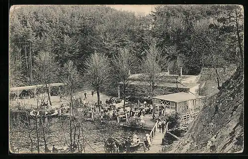 AK Gohlis-Niederau, Gasthaus Buschmühle aus der Vogelschau