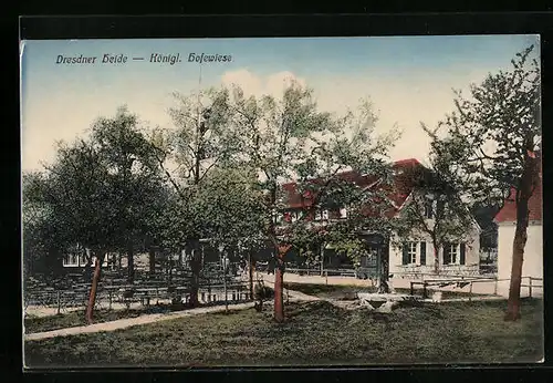 AK Dresden, Königliche Hofewiese in der Dresdner Heide