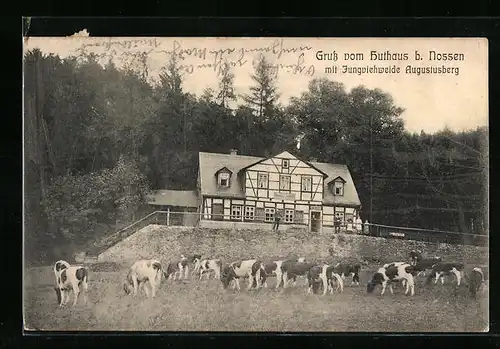 AK Nossen, Restaurant Huthaus mit Jungviehweide Augustusberg