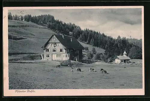 AK Bregenz, Alpen Gasthaus Pfänder-Dohle mit weidenden Rindern