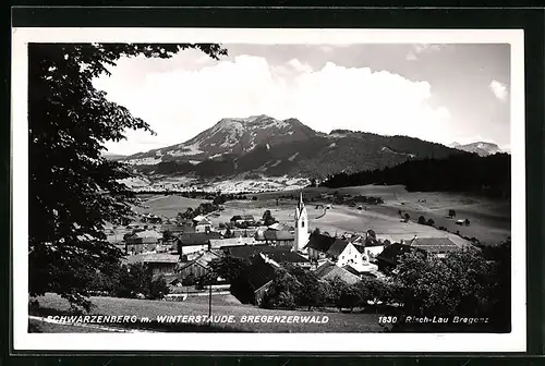 AK Schwarzenberg, Ortsansicht mit Winterstaude