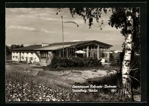 AK Höchst, Seerestaurant Rohrspitz am Bodensee