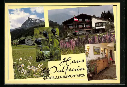 AK Gargellen im Montafon, Pension Haus Wulfenia, Innenansicht, Rückansicht