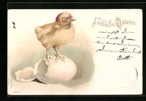 Lithographie Fröhliche Ostern, Osterküken auf der Eierschale