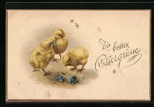 Künstler-AK Osterküken mit Vergissmeinnicht