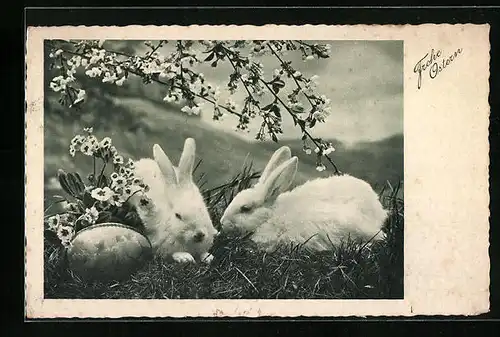 AK Osterhasen im Gras mit Blütenzweigen