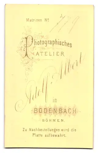 Fotografie Adolf Albert, Bodenbach / Böhmen, junges Mädchen im karierten Kleid mit langem Zopf